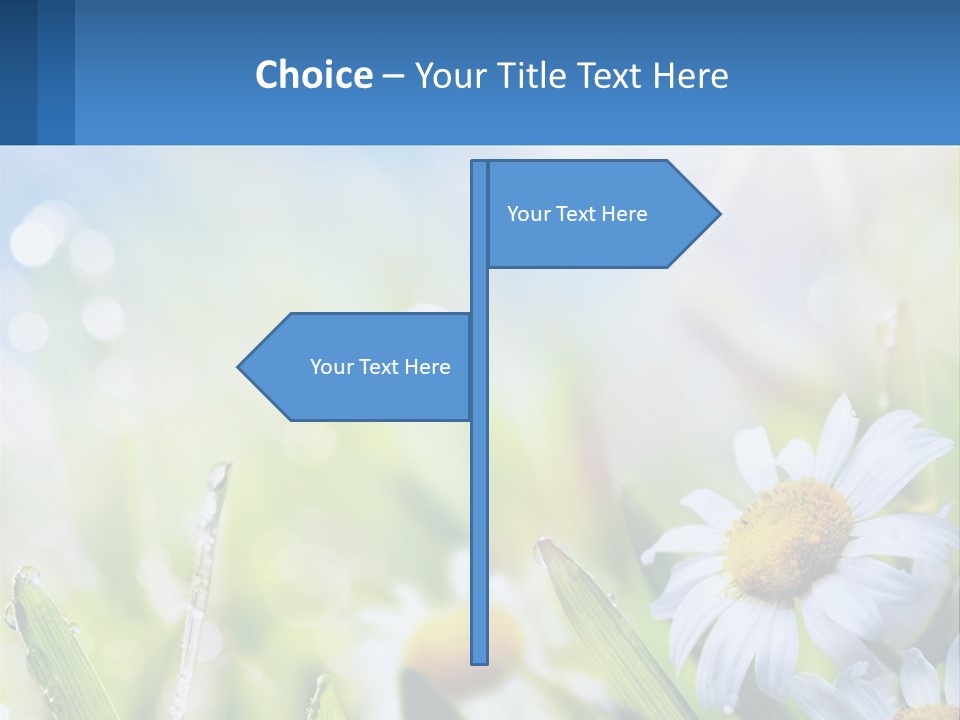 A Powerpoint Presentation With Daisies In The Grass PowerPoint Template