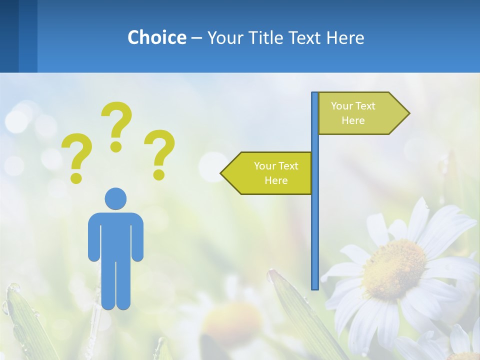 A Powerpoint Presentation With Daisies In The Grass PowerPoint Template