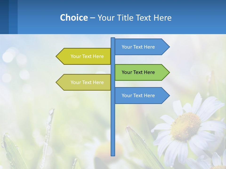 A Powerpoint Presentation With Daisies In The Grass PowerPoint Template