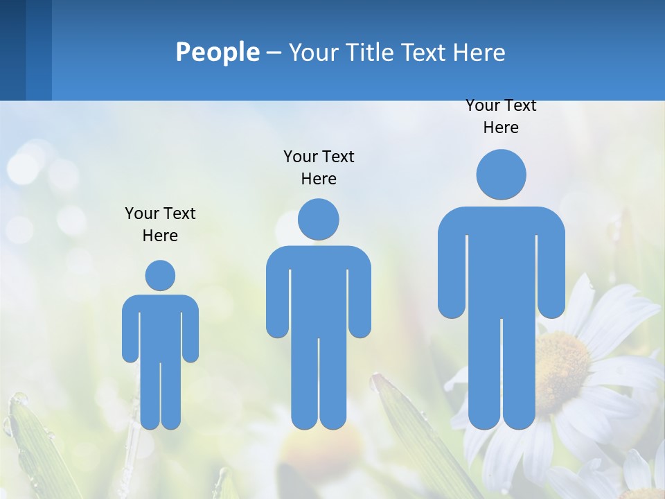 A Powerpoint Presentation With Daisies In The Grass PowerPoint Template
