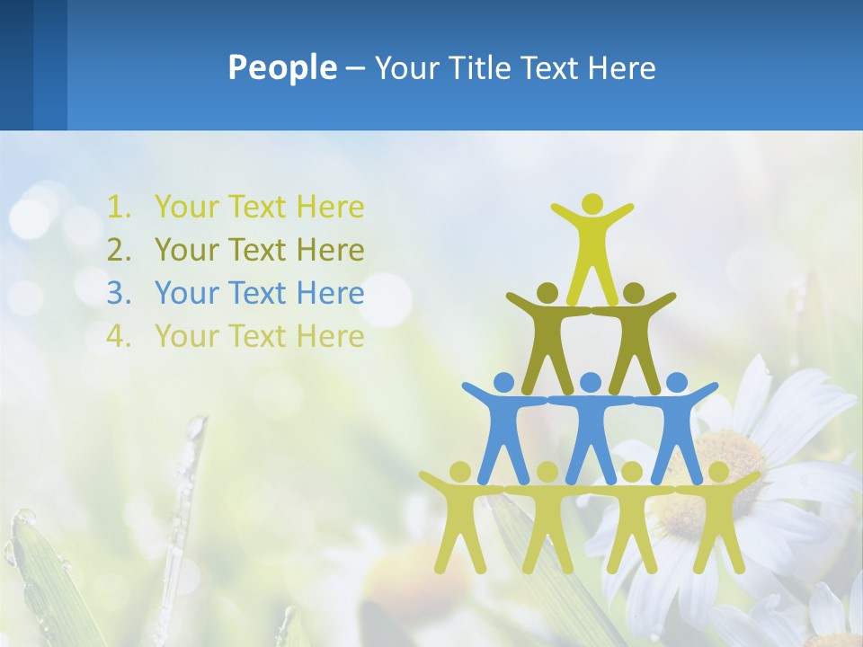 A Powerpoint Presentation With Daisies In The Grass PowerPoint Template
