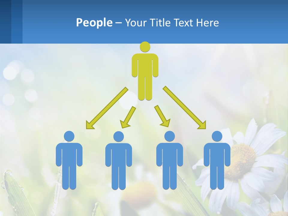 A Powerpoint Presentation With Daisies In The Grass PowerPoint Template