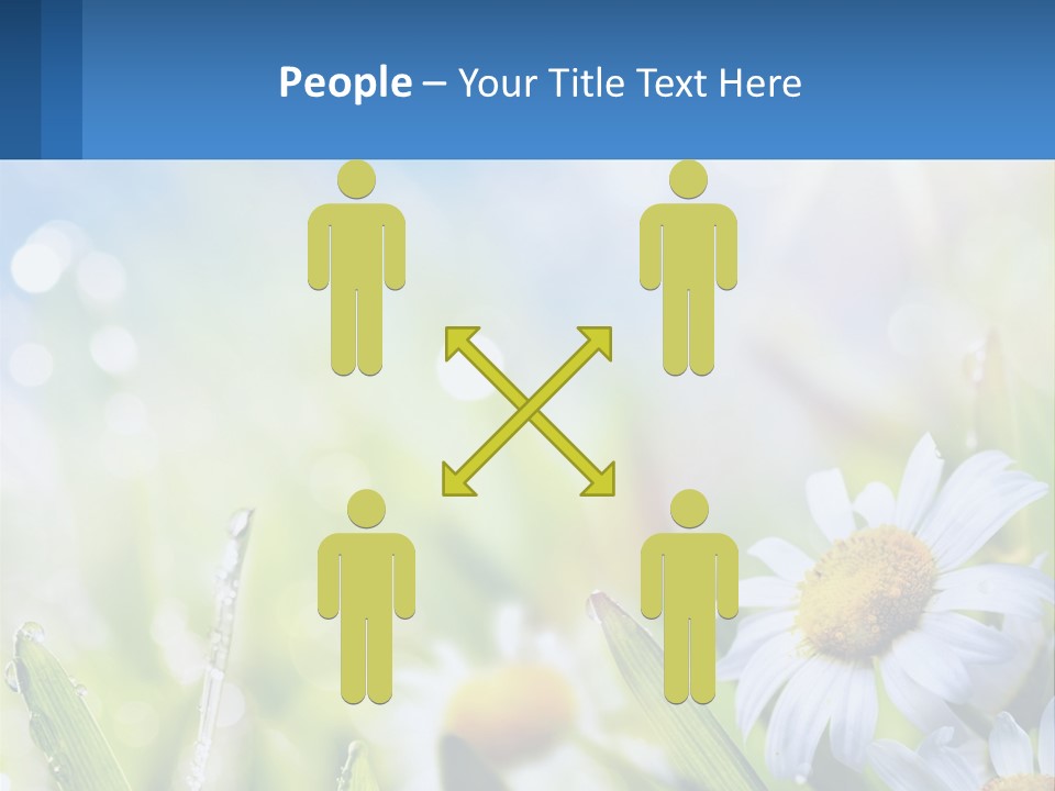 A Powerpoint Presentation With Daisies In The Grass PowerPoint Template