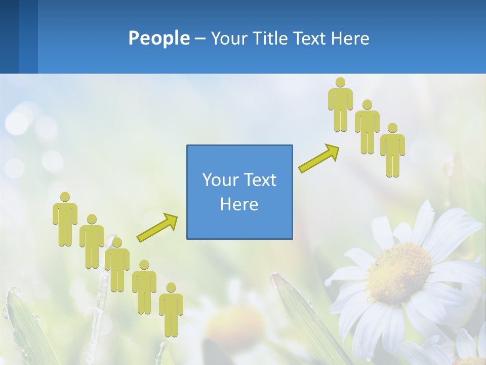 A Powerpoint Presentation With Daisies In The Grass PowerPoint Template