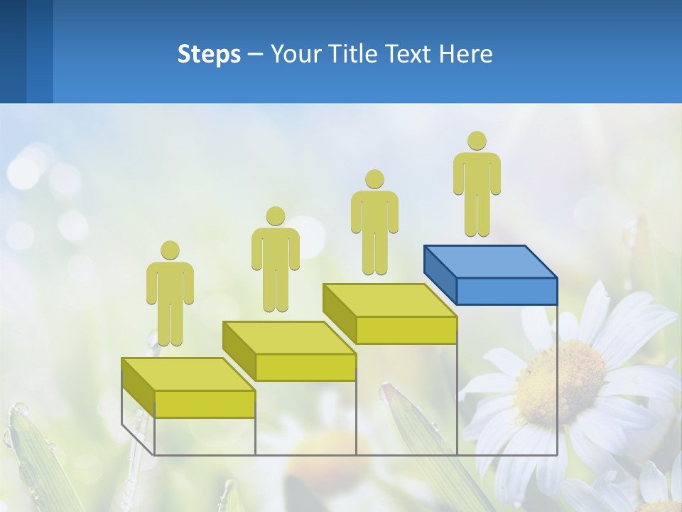 A Powerpoint Presentation With Daisies In The Grass PowerPoint Template