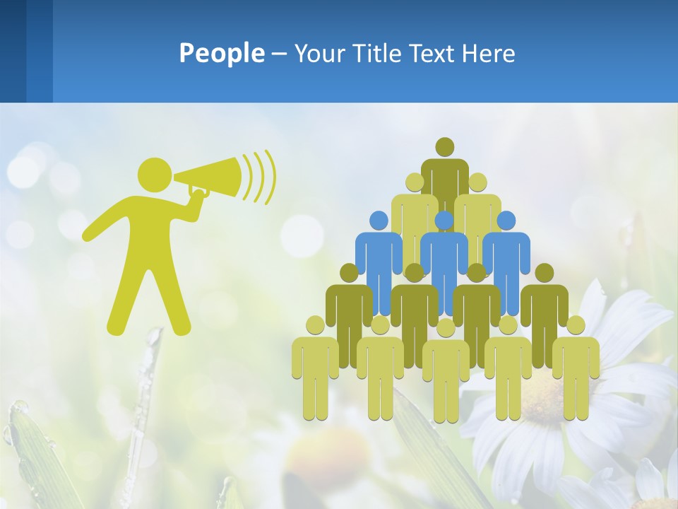 A Powerpoint Presentation With Daisies In The Grass PowerPoint Template