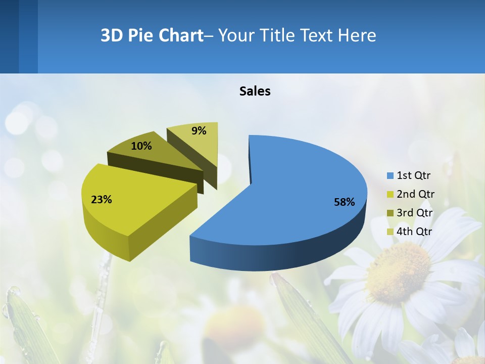 A Powerpoint Presentation With Daisies In The Grass PowerPoint Template