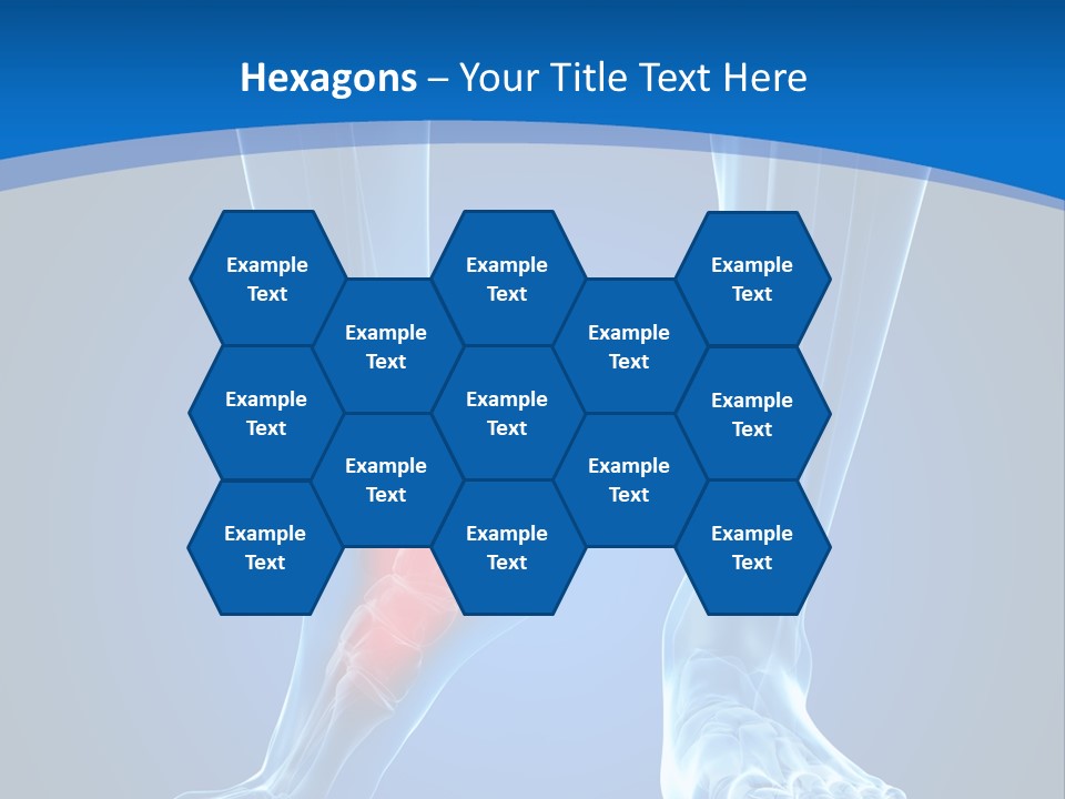 A Medical Powerpoint Presentation With A Highlighted Foot PowerPoint Template