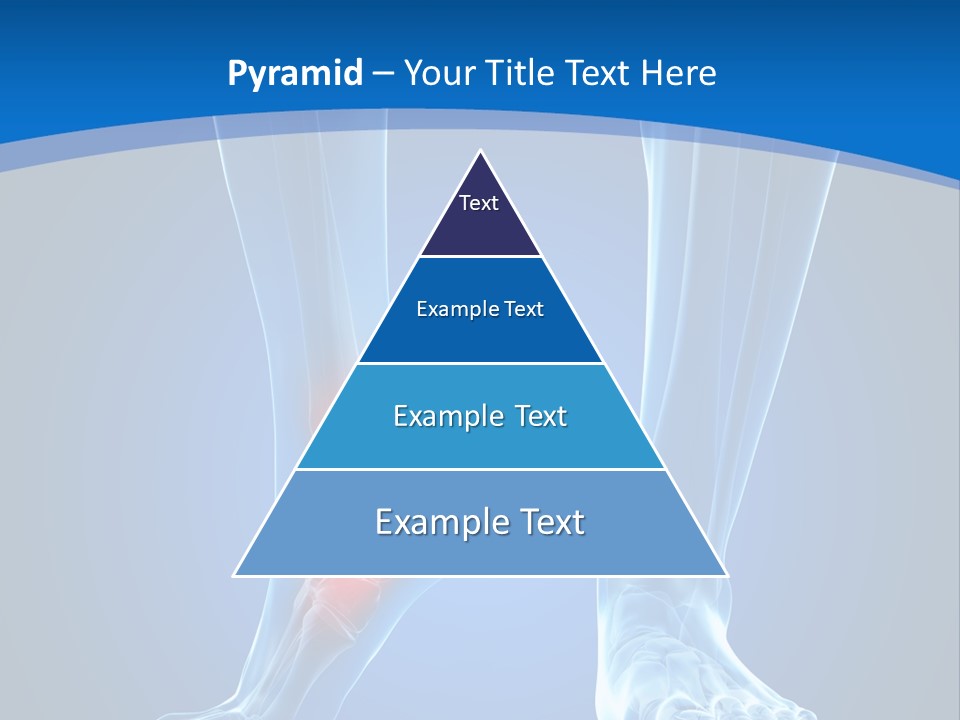 A Medical Powerpoint Presentation With A Highlighted Foot PowerPoint Template