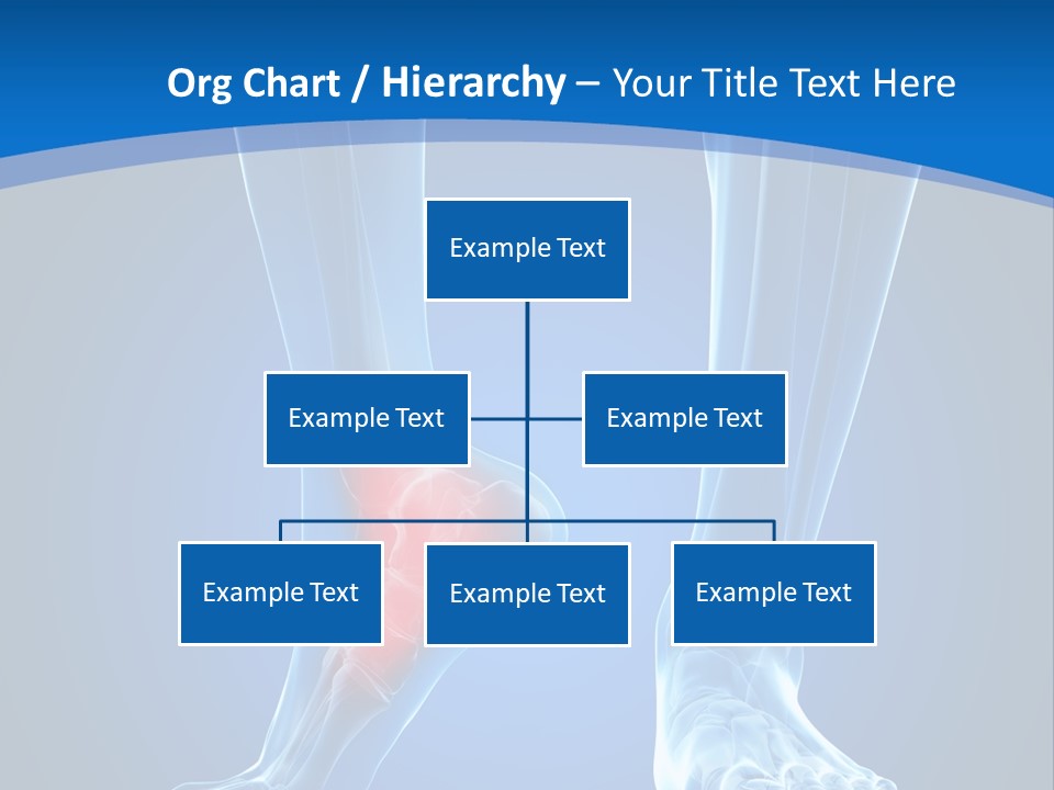 A Medical Powerpoint Presentation With A Highlighted Foot PowerPoint Template