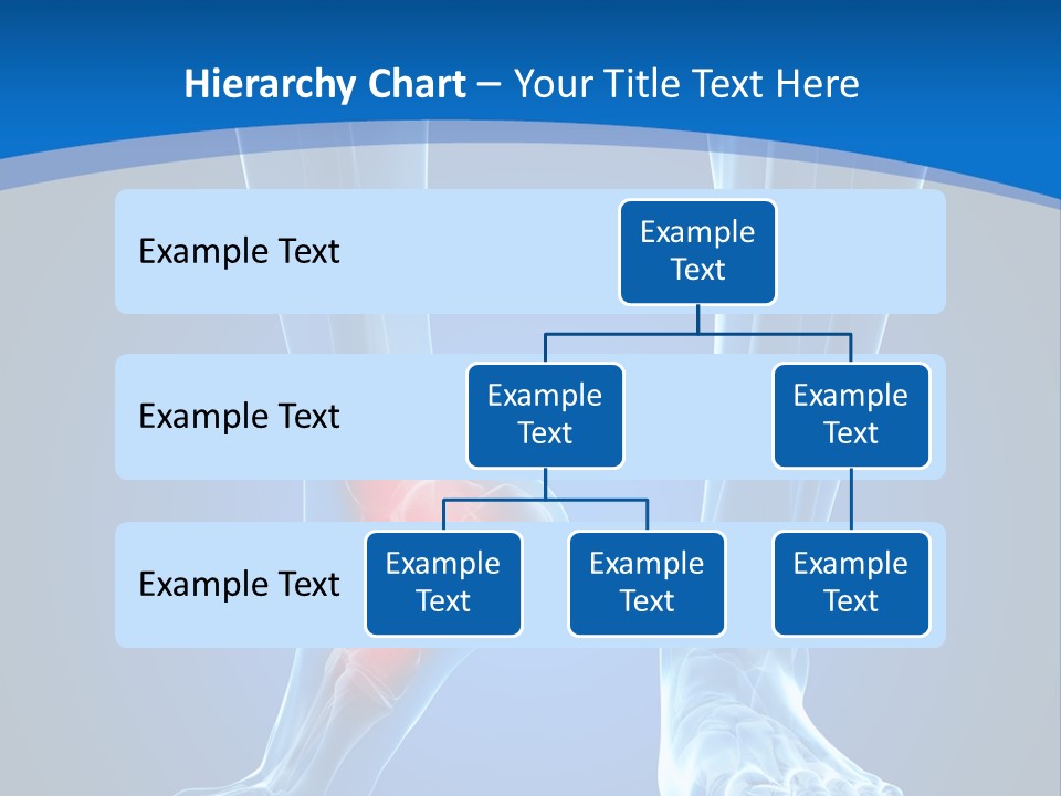 A Medical Powerpoint Presentation With A Highlighted Foot PowerPoint Template
