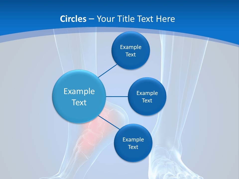 A Medical Powerpoint Presentation With A Highlighted Foot PowerPoint Template