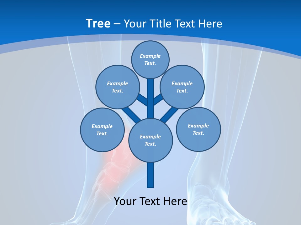 A Medical Powerpoint Presentation With A Highlighted Foot PowerPoint Template