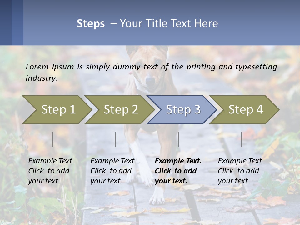 A Dog Is Walking On A Path In The Woods PowerPoint Template
