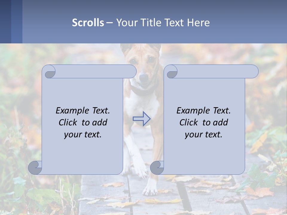 A Dog Is Walking On A Path In The Woods PowerPoint Template
