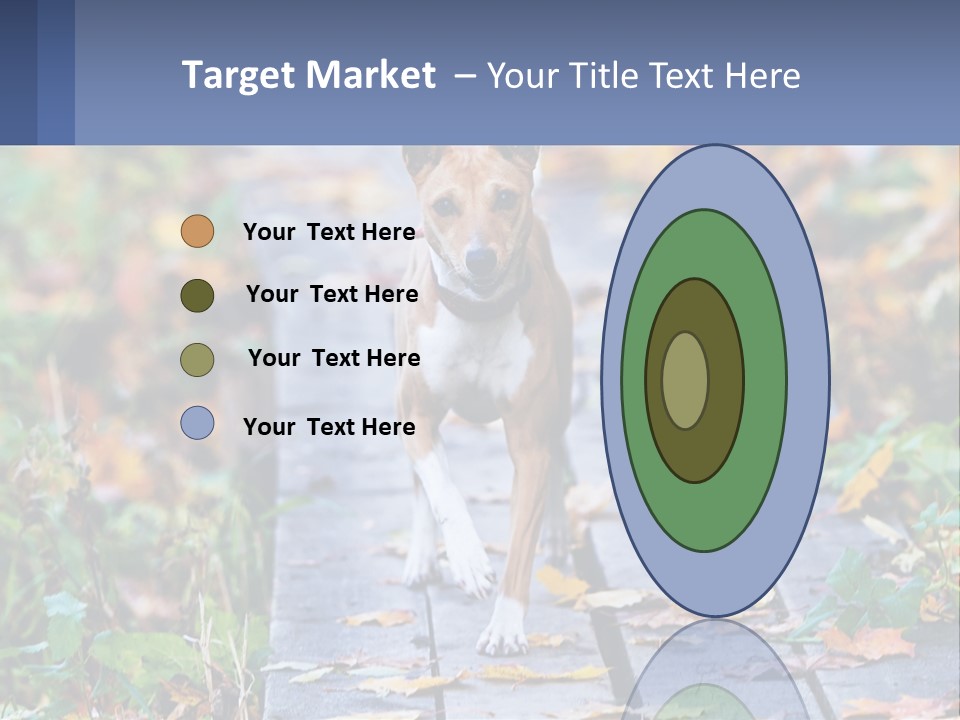 A Dog Is Walking On A Path In The Woods PowerPoint Template