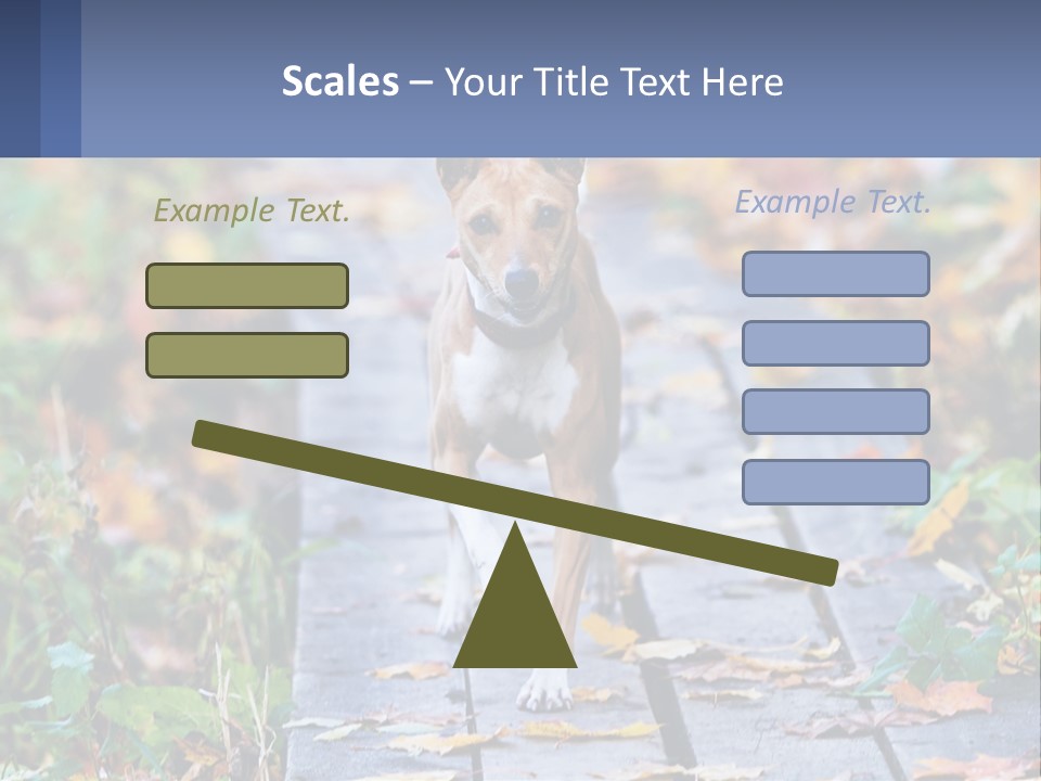 A Dog Is Walking On A Path In The Woods PowerPoint Template