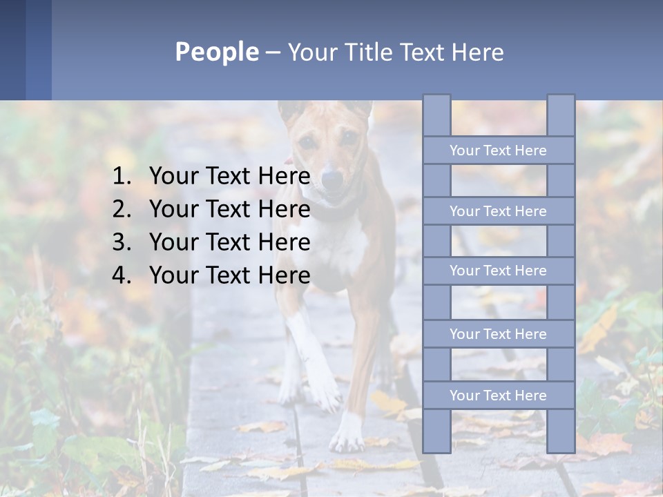 A Dog Is Walking On A Path In The Woods PowerPoint Template