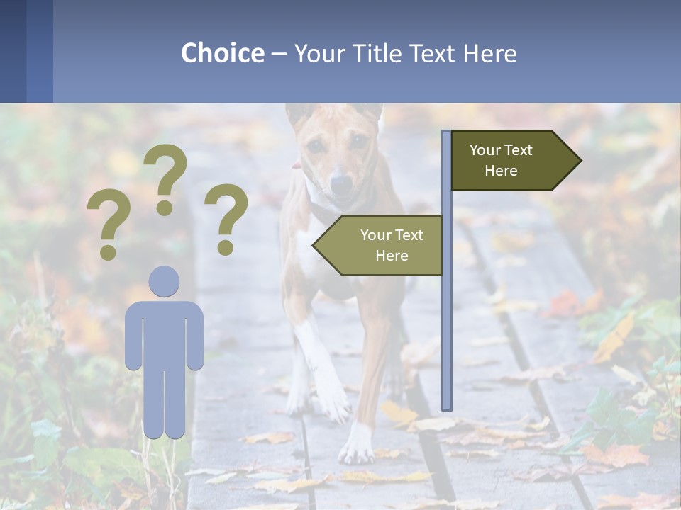 A Dog Is Walking On A Path In The Woods PowerPoint Template
