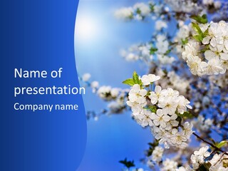 A Blue Sky With White Flowers Powerpoint Template PowerPoint Template