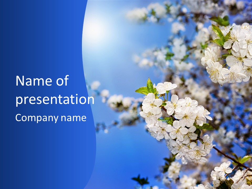 A Blue Sky With White Flowers Powerpoint Template PowerPoint Template