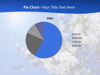 A Blue Sky With White Flowers Powerpoint Template PowerPoint Template