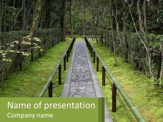 A Stone Path In The Middle Of A Forest PowerPoint Template