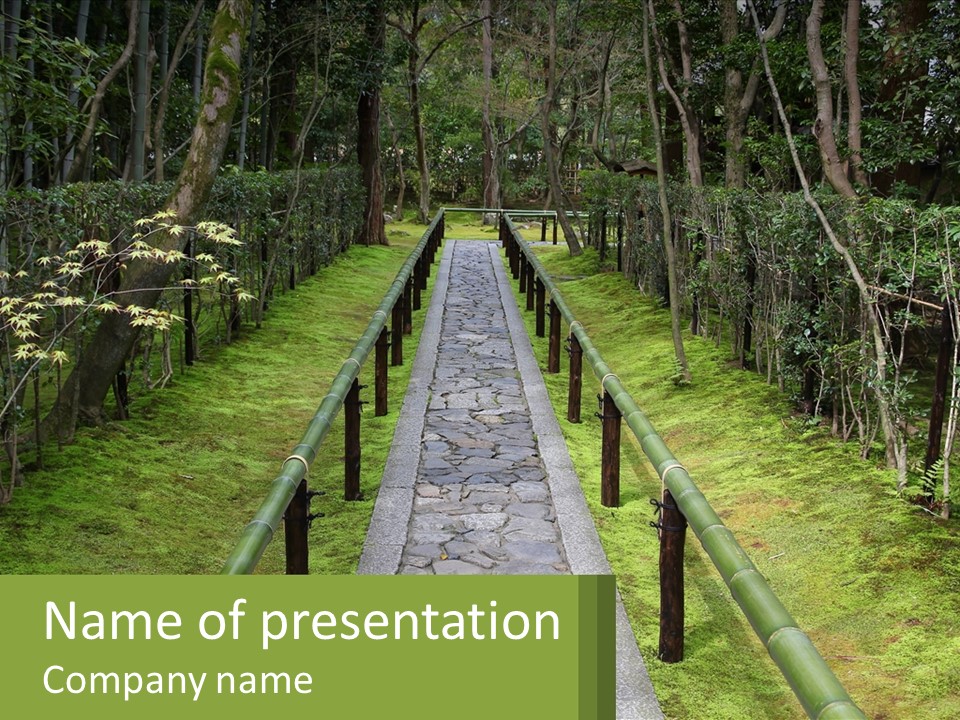 A Stone Path In The Middle Of A Forest PowerPoint Template