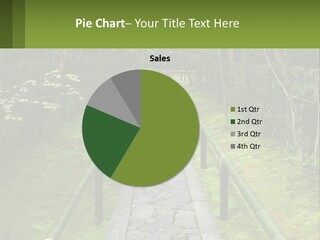 A Stone Path In The Middle Of A Forest PowerPoint Template