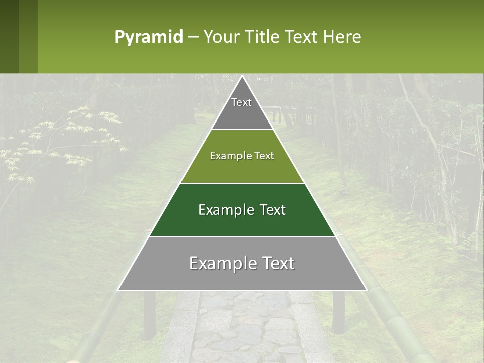 A Stone Path In The Middle Of A Forest PowerPoint Template
