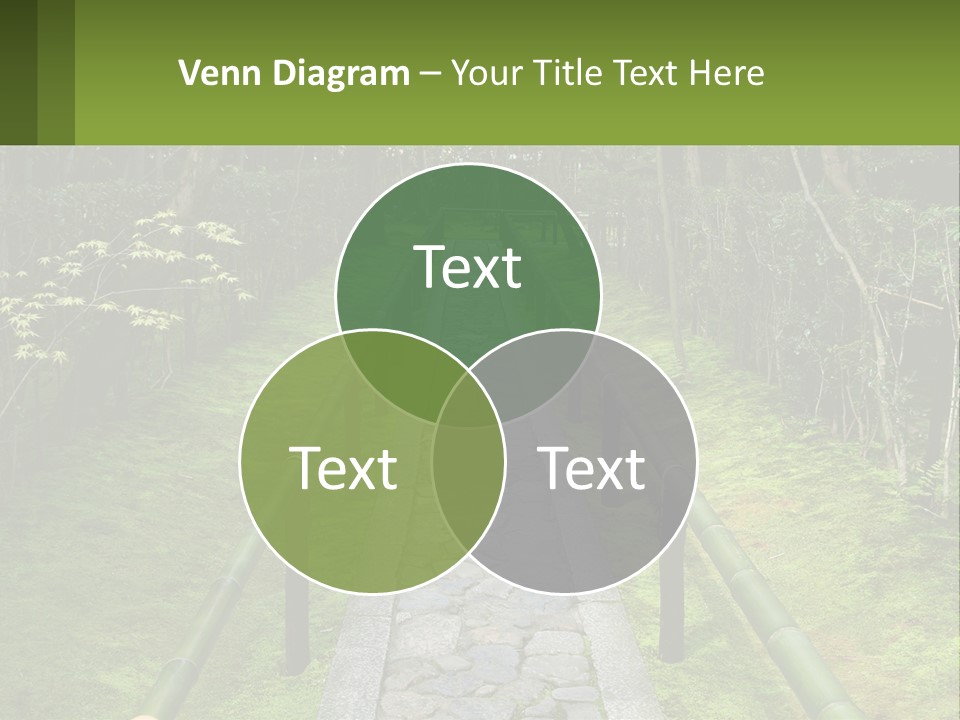 A Stone Path In The Middle Of A Forest PowerPoint Template