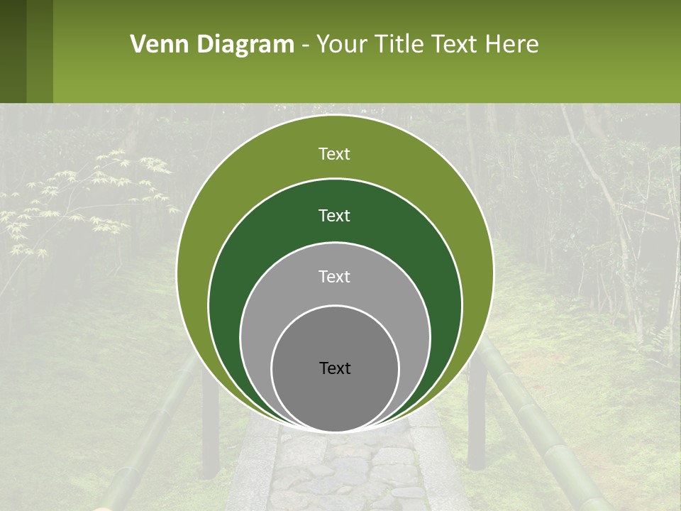 A Stone Path In The Middle Of A Forest PowerPoint Template