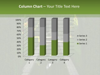 A Formal Garden With A Fountain In The Middle Of It PowerPoint Template