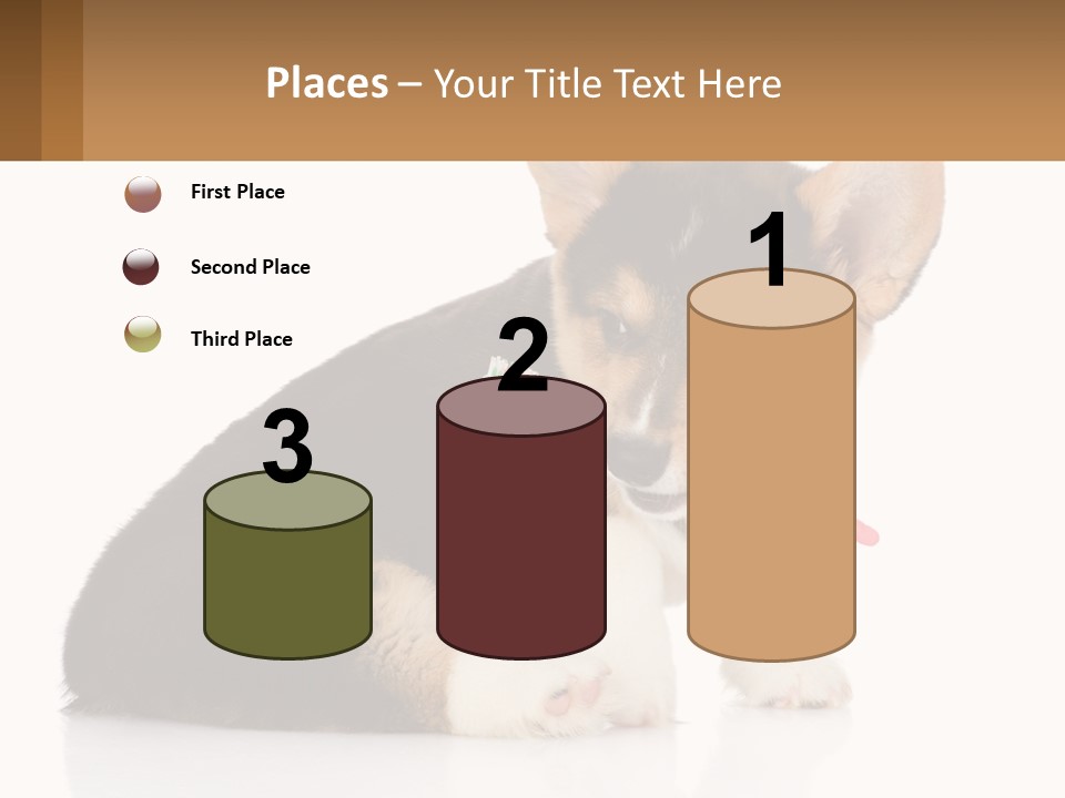 A Dog With A Toothbrush In Its Mouth PowerPoint Template
