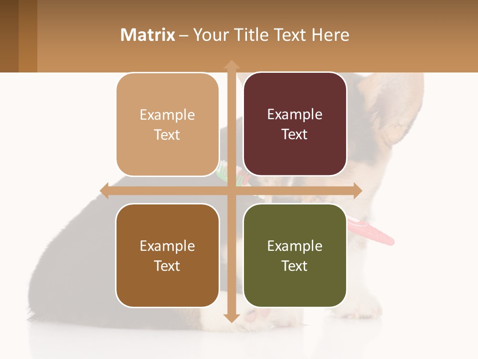 A Dog With A Toothbrush In Its Mouth PowerPoint Template