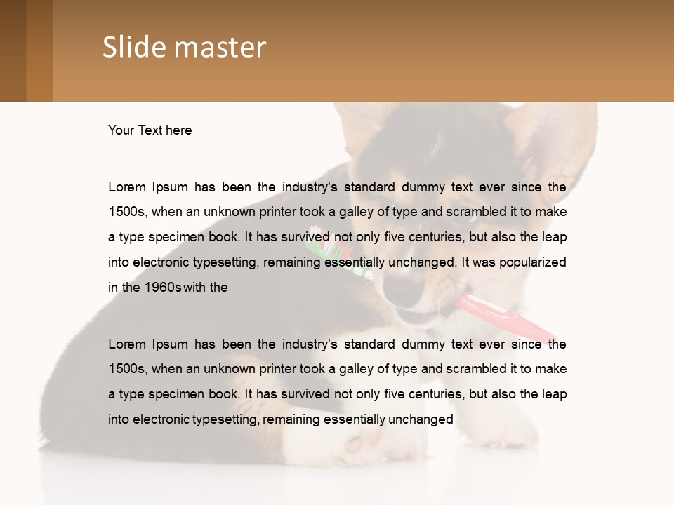 A Dog With A Toothbrush In Its Mouth PowerPoint Template