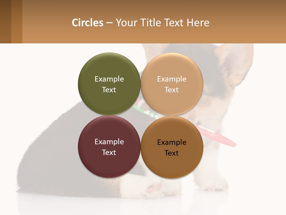 A Dog With A Toothbrush In Its Mouth PowerPoint Template