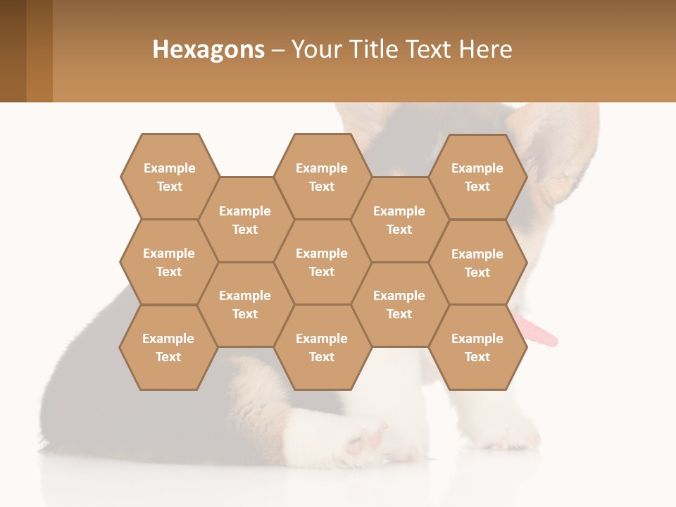A Dog With A Toothbrush In Its Mouth PowerPoint Template