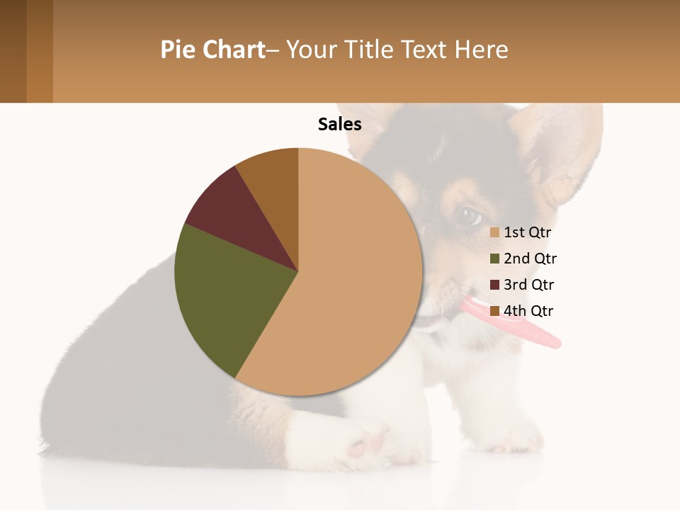A Dog With A Toothbrush In Its Mouth PowerPoint Template