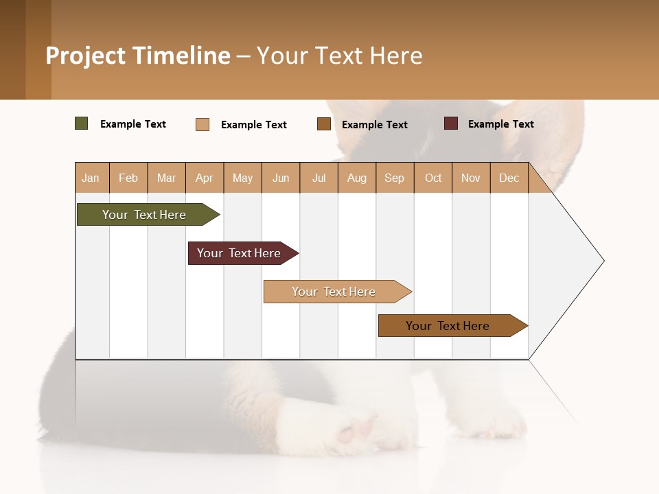 A Dog With A Toothbrush In Its Mouth PowerPoint Template