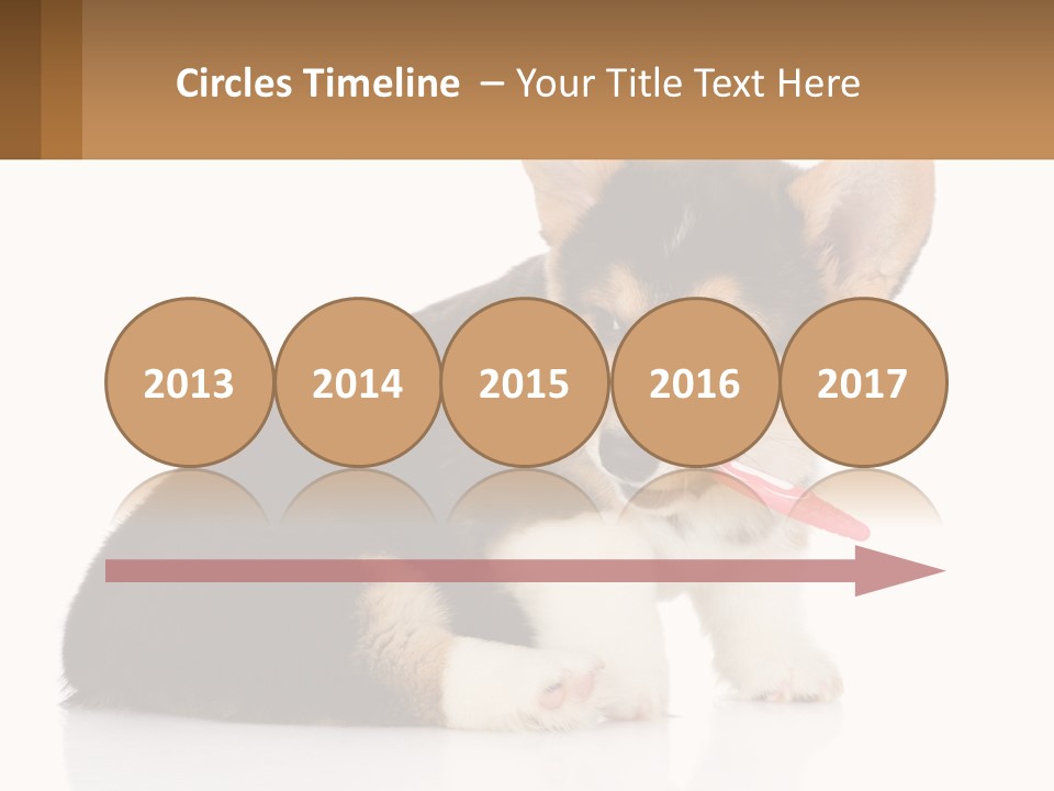 A Dog With A Toothbrush In Its Mouth PowerPoint Template
