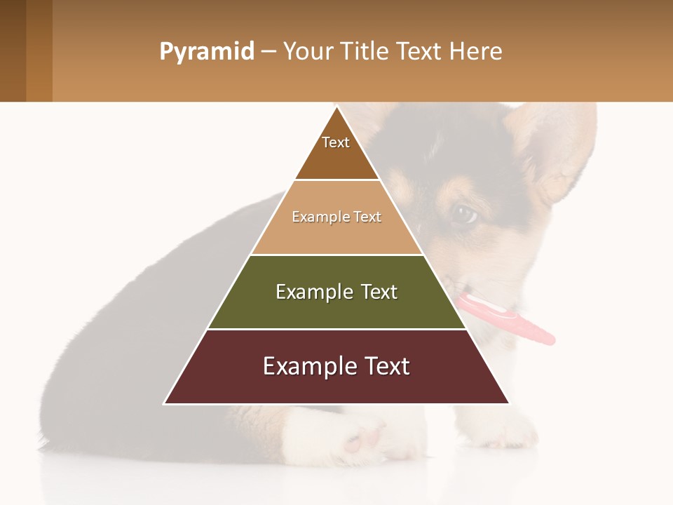 A Dog With A Toothbrush In Its Mouth PowerPoint Template