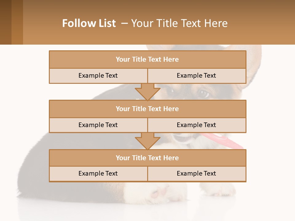 A Dog With A Toothbrush In Its Mouth PowerPoint Template