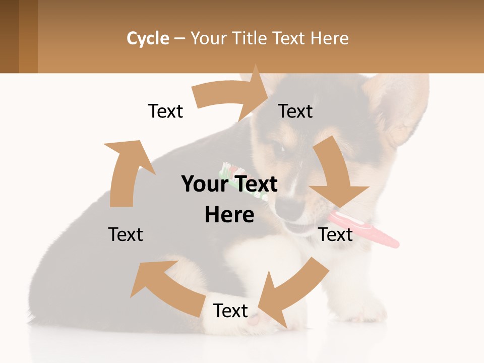 A Dog With A Toothbrush In Its Mouth PowerPoint Template