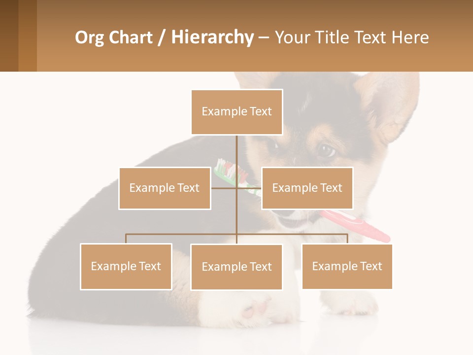 A Dog With A Toothbrush In Its Mouth PowerPoint Template