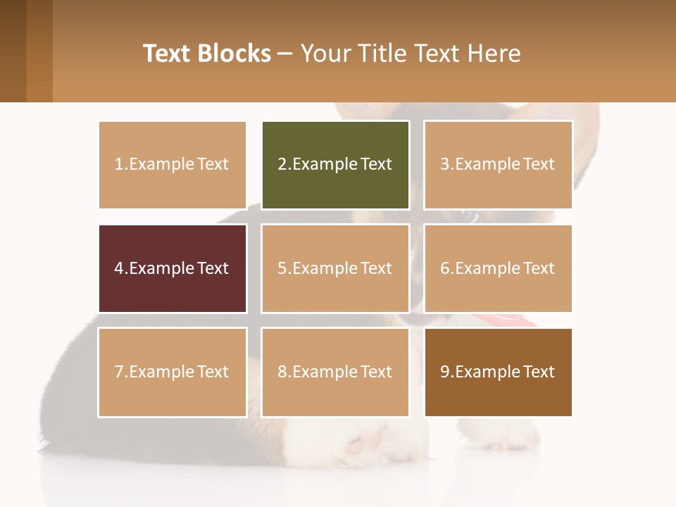 A Dog With A Toothbrush In Its Mouth PowerPoint Template