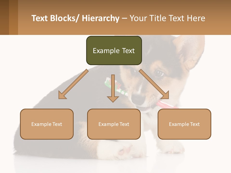 A Dog With A Toothbrush In Its Mouth PowerPoint Template