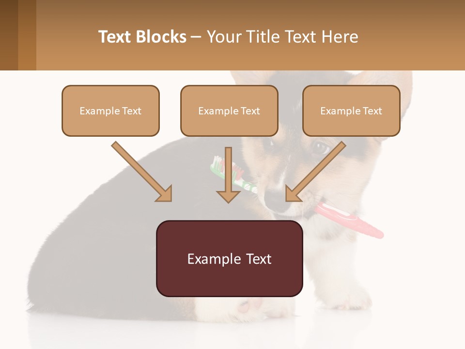 A Dog With A Toothbrush In Its Mouth PowerPoint Template