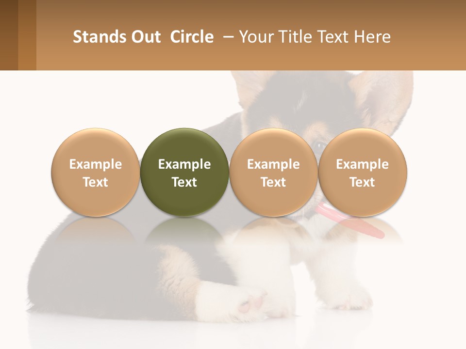 A Dog With A Toothbrush In Its Mouth PowerPoint Template