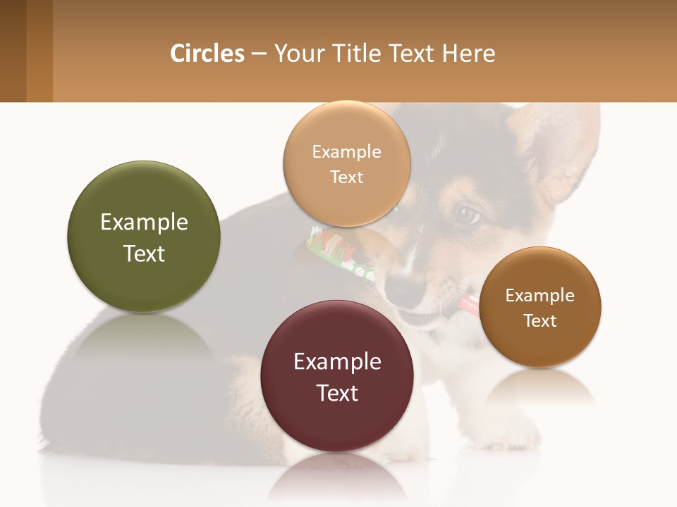 A Dog With A Toothbrush In Its Mouth PowerPoint Template